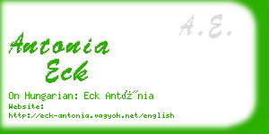 antonia eck business card